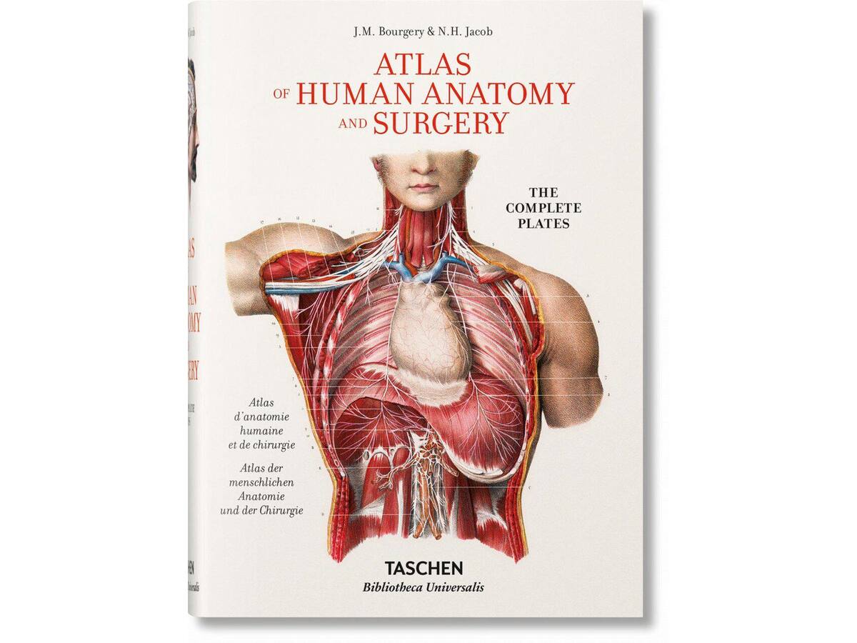 BOURGERY. ATLAS OF HUMAN ANATOMY AND SURGERY - J.M. LE MINOR, H. SIC 1