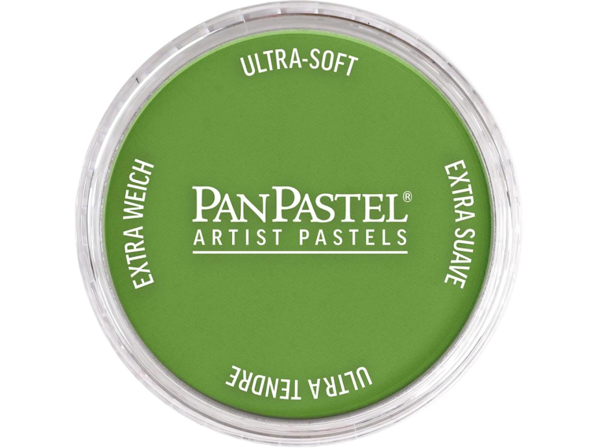 PANPASTEL 9ML YELLOW GREEN SHADE 690.3 1