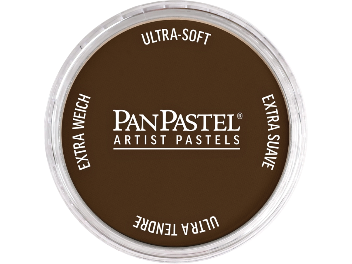PANPASTEL 9ML BURNT UMBER SHADE 760.3 1