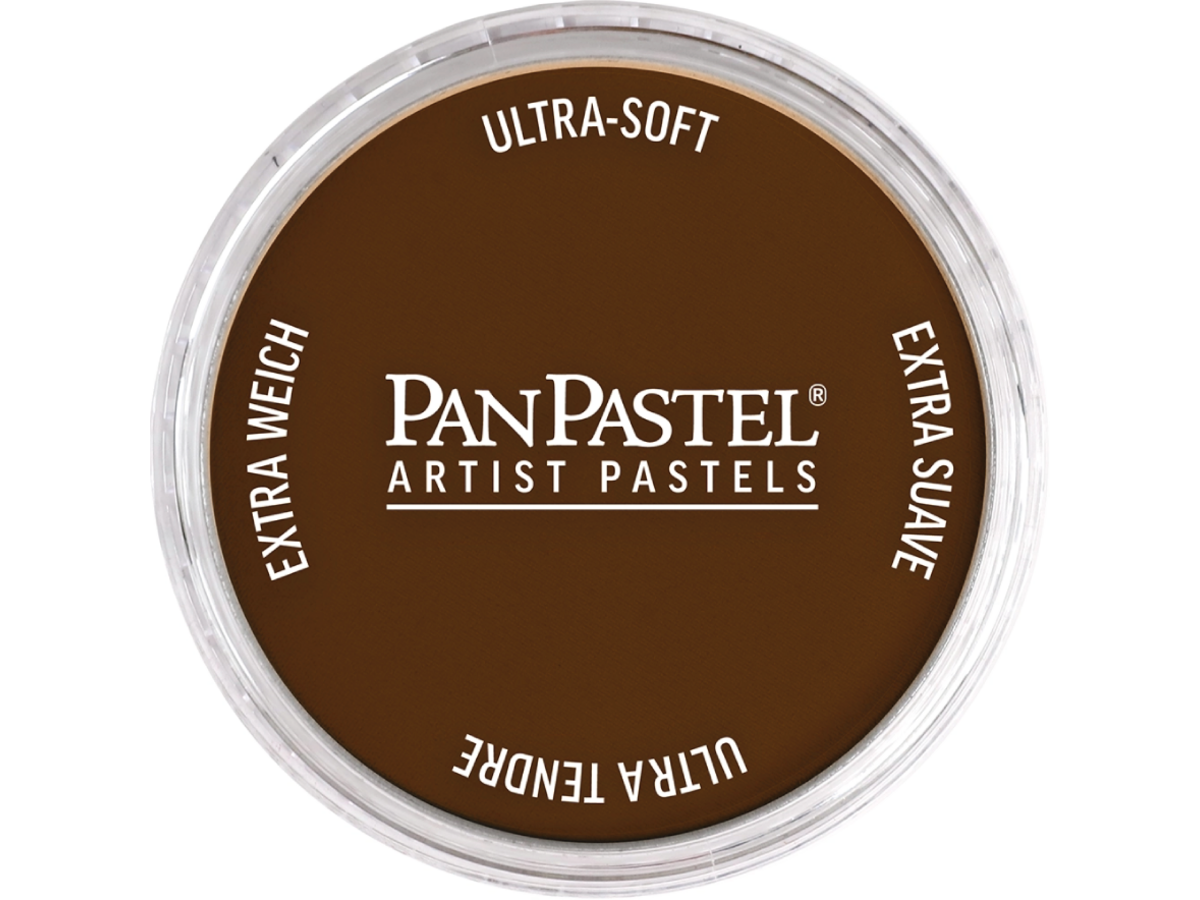 PANPASTEL 9ML BURNT UMBER 760.5 1