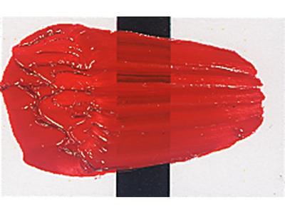 TRI-ART ACRYLFARBE 250ML S5 NAPHTOL ROT HELL 1