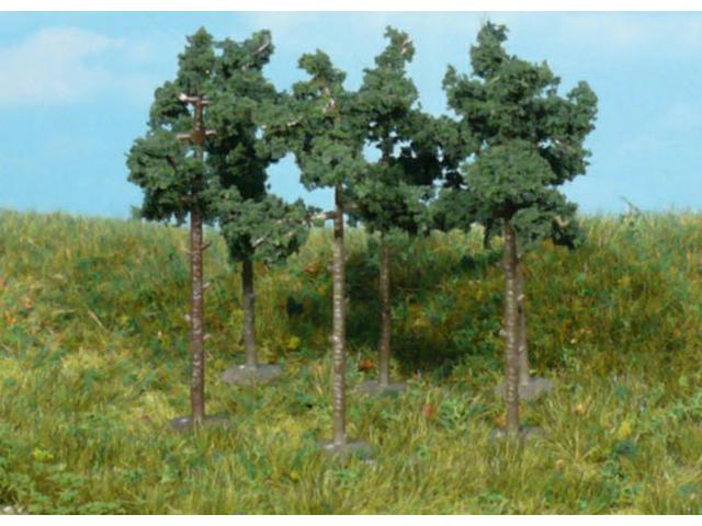 KIEFER 6CM 6 STÜCK 01152 1