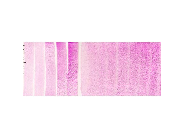 DANIEL SMITH WATERCOLOUR 5ML 030 S3 COBALT VIOLET 1