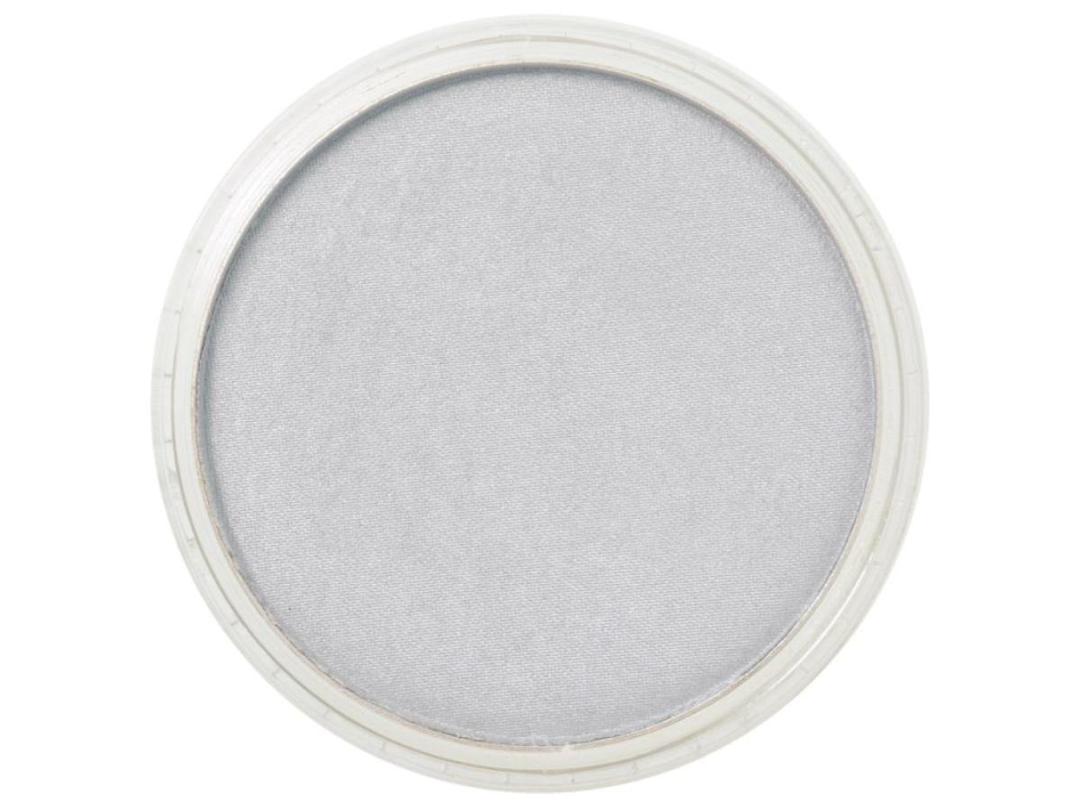 PANPASTEL 9ML METALLIC SILVER 920.5 1