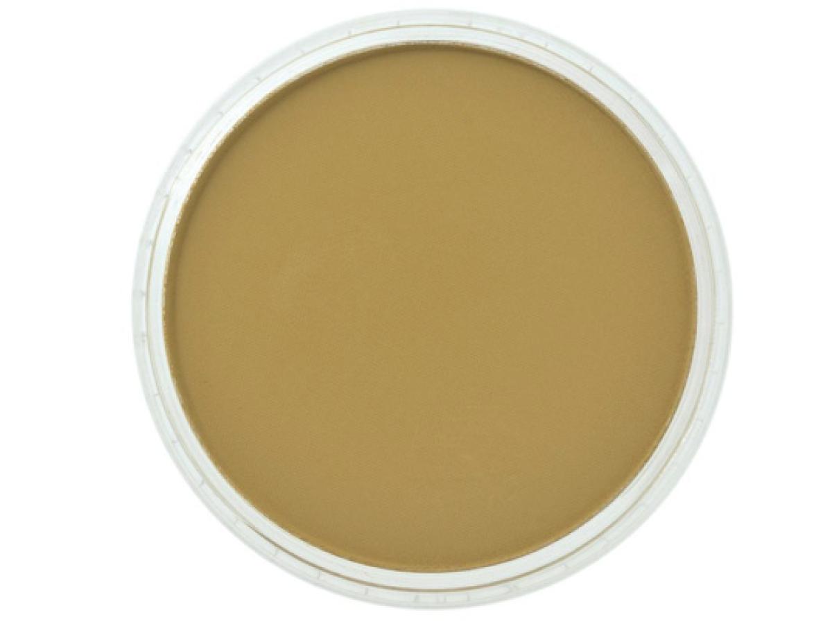 PANPASTEL 9ML YELLOW OCHRE SHADE 270.3 1