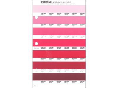 PANTONE PMS SOLID CHIPS ERSATZSEITE 42U 1