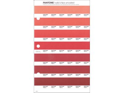 PANTONE PMS SOLID CHIPS ERSATZSEITE 43U 1