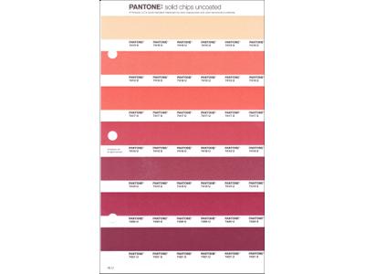 PANTONE PMS SOLID CHIPS ERSATZSEITE 45U 1