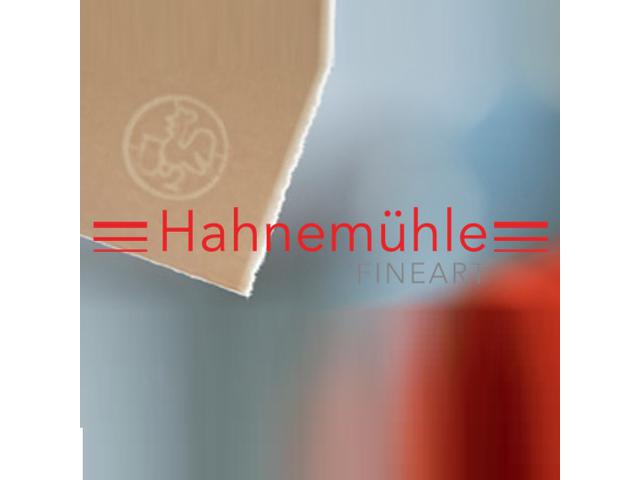 HAHNEMÜHLE TIEFDRUCKPAPIER ROLLE 1,24X20M 350GRAMM 1