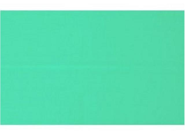 LASCAUX GOUACHE 316 500ML VERONESERGRÜN 1