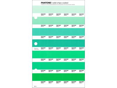 PANTONE PMS SOLID CHIPS ERSATZSEITE 182C 1