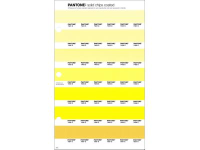 PANTONE PMS SOLID CHIPS ERSATZSEITE 3C 1