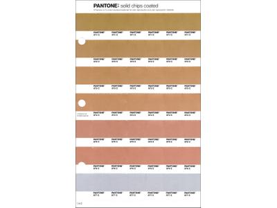 PANTONE PMS SOLID CHIPS ERSATZSEITE 1.6C 1