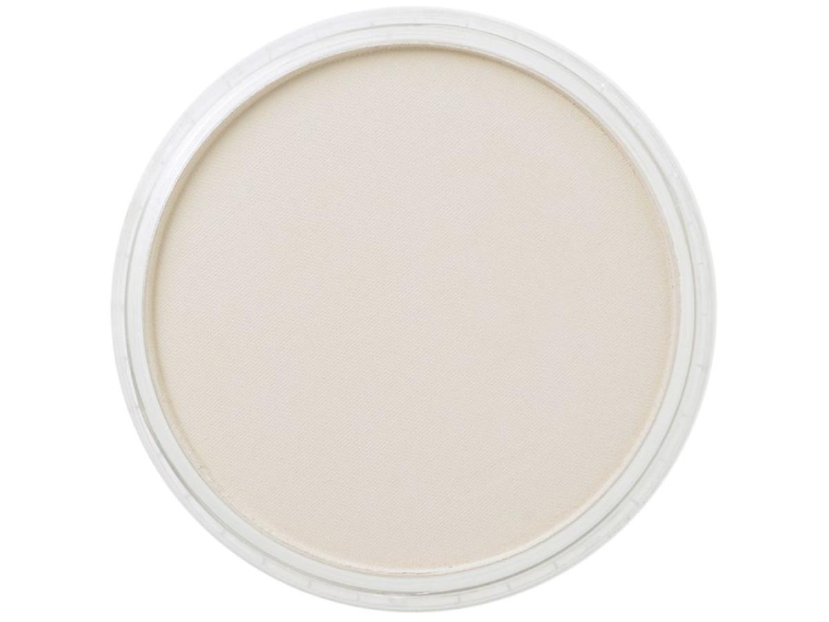 PANPASTEL 9ML RAW UMBER TINT 780.8 1