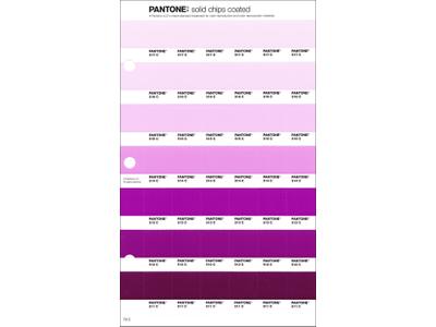PANTONE PMS SOLID CHIPS ERSATZSEITE 79C 1