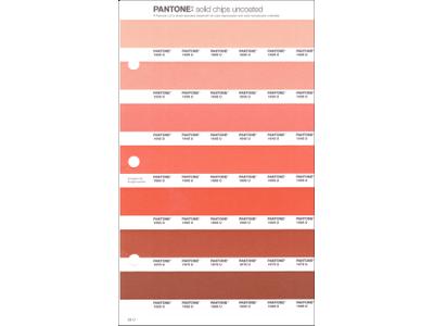 PANTONE PMS SOLID CHIPS ERSATZSEITE 28U 1