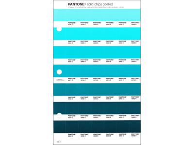 PANTONE PMS SOLID CHIPS ERSATZSEITE 165C 1