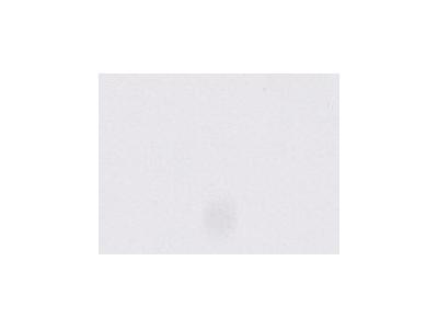 ARA ACRYLFARBE 500ML 001 TITANWEISS 1