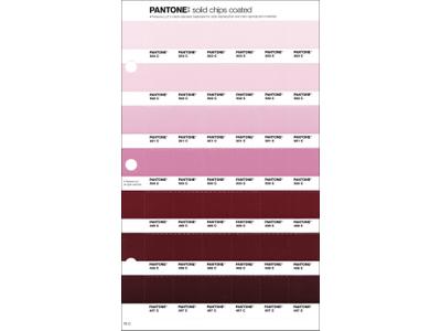 PANTONE PMS SOLID CHIPS ERSATZSEITE 70C 1