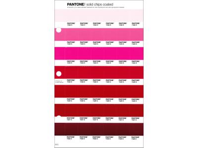 PANTONE PMS SOLID CHIPS ERSATZSEITE 55C 1