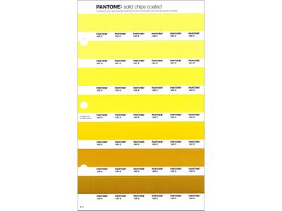 PANTONE PMS SOLID CHIPS ERSATZSEITE 9C 1