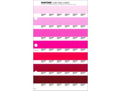 PANTONE PMS SOLID CHIPS ERSATZSEITE 54C 1