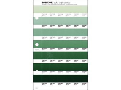 PANTONE PMS SOLID CHIPS ERSATZSEITE 172C 1