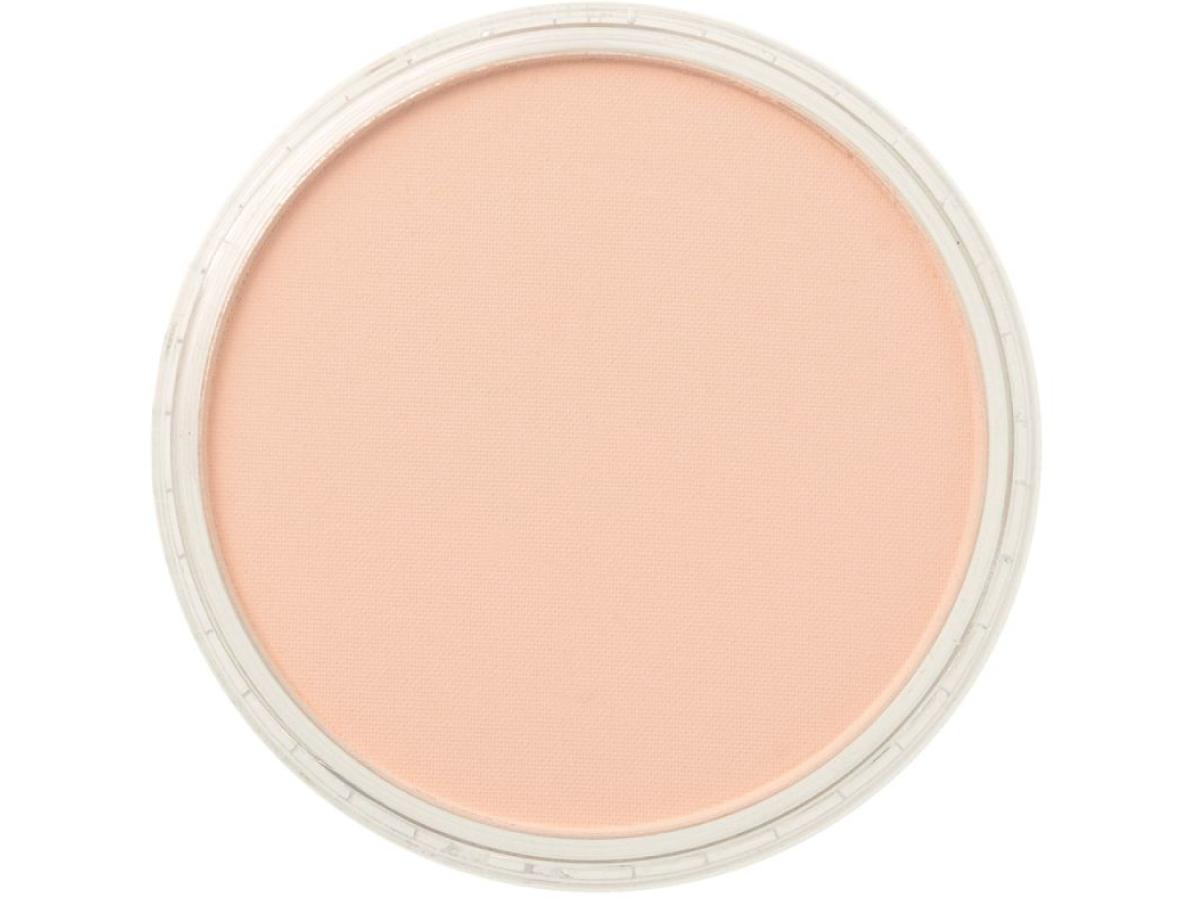 PANPASTEL 9ML RED IRON OXIDE TINT 380.8 1