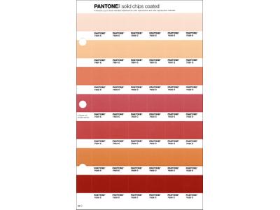 PANTONE PMS SOLID CHIPS ERSATZSEITE 36C 1