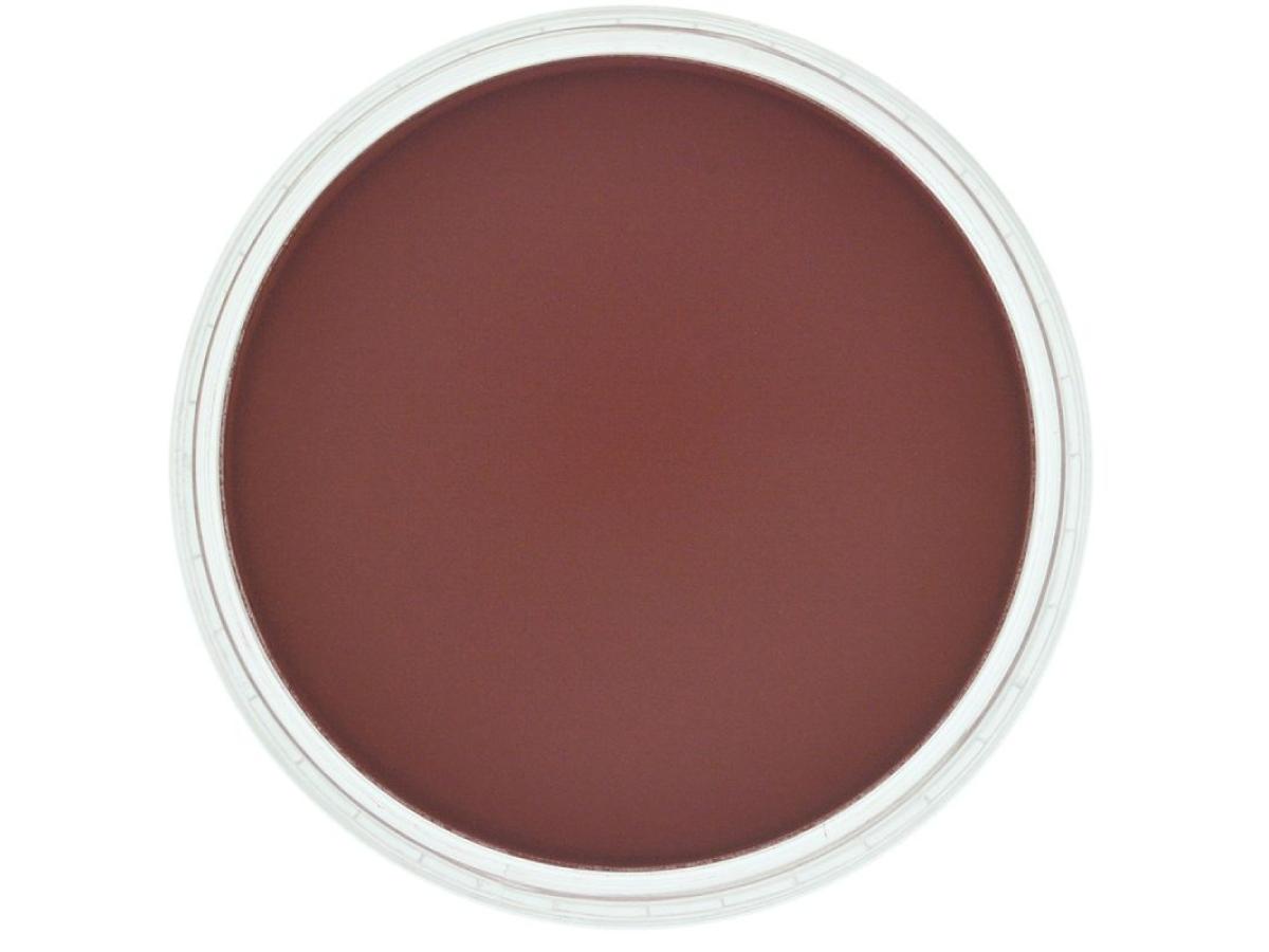 PANPASTEL 9ML PERMANENT RED EXTRA DARK 340.1 1