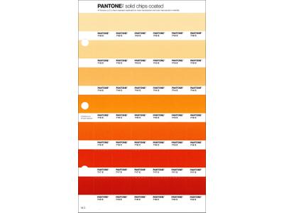 PANTONE PMS SOLID CHIPS ERSATZSEITE 19C 1