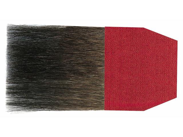 DV 402  ANSCHIESSER 50 MM 1