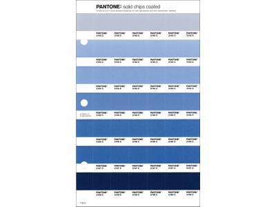 PANTONE PMS SOLID CHIPS ERSATZSEITE 112C 1