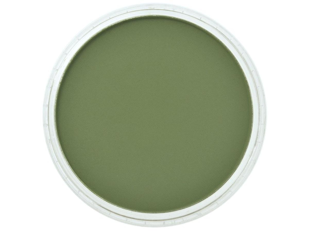 PANPASTEL 9ML CHROMIUM OXIDE GREEN SHADE 660.3 1