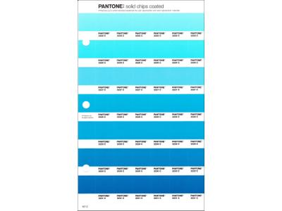 PANTONE PMS SOLID CHIPS ERSATZSEITE 157C 1