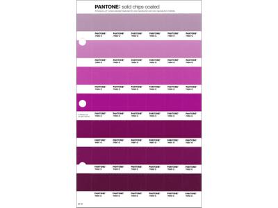 PANTONE PMS SOLID CHIPS ERSATZSEITE 81C 1