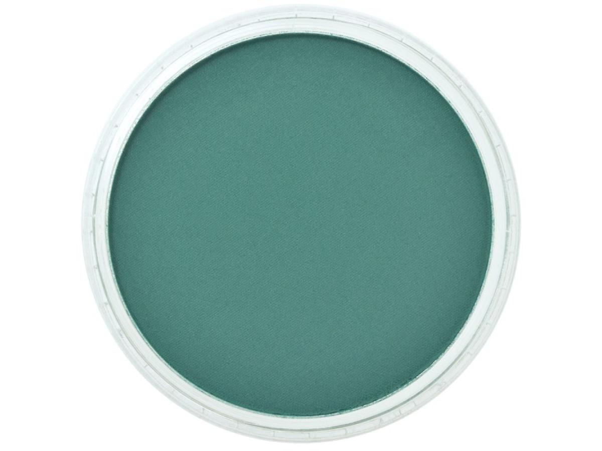 PANPASTEL 9ML PHTHALO GREEN SHADE 620.3 1