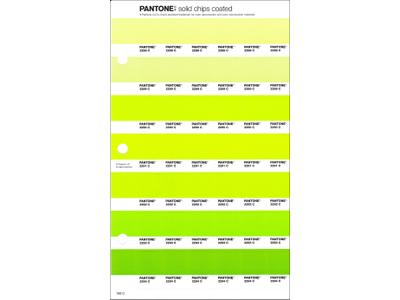 PANTONE PMS SOLID CHIPS ERSATZSEITE 199C 1