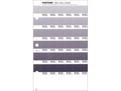 PANTONE PMS SOLID CHIPS ERSATZSEITE 248C 1