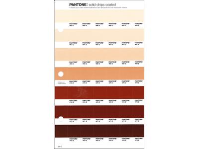 PANTONE PMS SOLID CHIPS ERSATZSEITE 234C 1