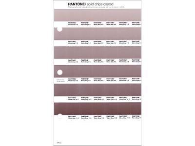 PANTONE PMS SOLID CHIPS ERSATZSEITE 246C 1
