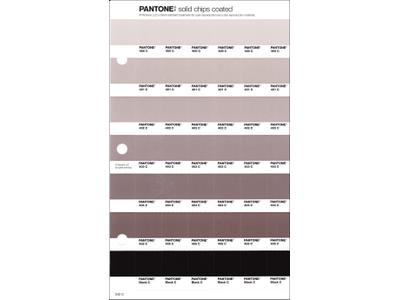 PANTONE PMS SOLID CHIPS ERSATZSEITE 242C 1