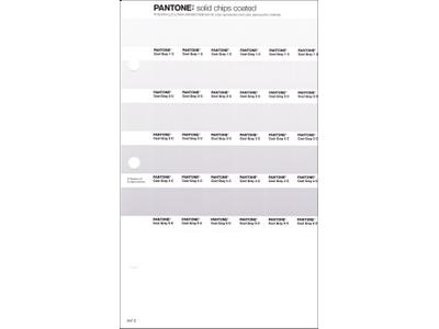 PANTONE PMS SOLID CHIPS ERSATZSEITE 247C 1