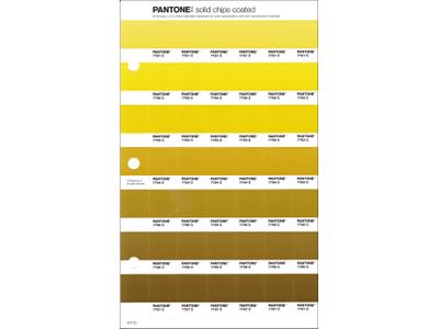 PANTONE PMS SOLID CHIPS ERSATZSEITE 217C 1
