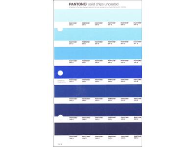 PANTONE PMS SOLID CHIPS ERSATZSEITE 132U 1