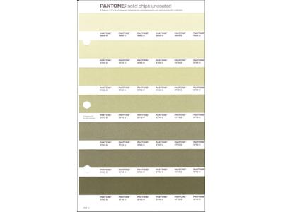 PANTONE PMS SOLID CHIPS ERSATZSEITE 204U 1