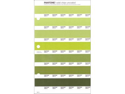 PANTONE PMS SOLID CHIPS ERSATZSEITE 206U 1