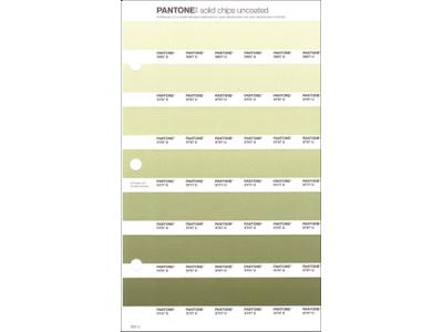 PANTONE PMS SOLID CHIPS ERSATZSEITE 202U 1