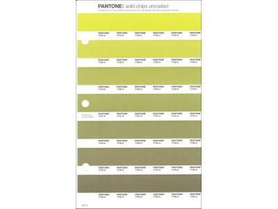 PANTONE PMS SOLID CHIPS ERSATZSEITE 207U 1