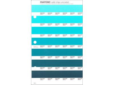 PANTONE PMS SOLID CHIPS ERSATZSEITE 165U 1